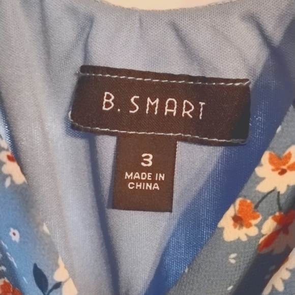 B. Smart Junior Girl Lined Chamb/Multi Color Ruffled Dress, Size: 3, NWT - Picture 7 of 13